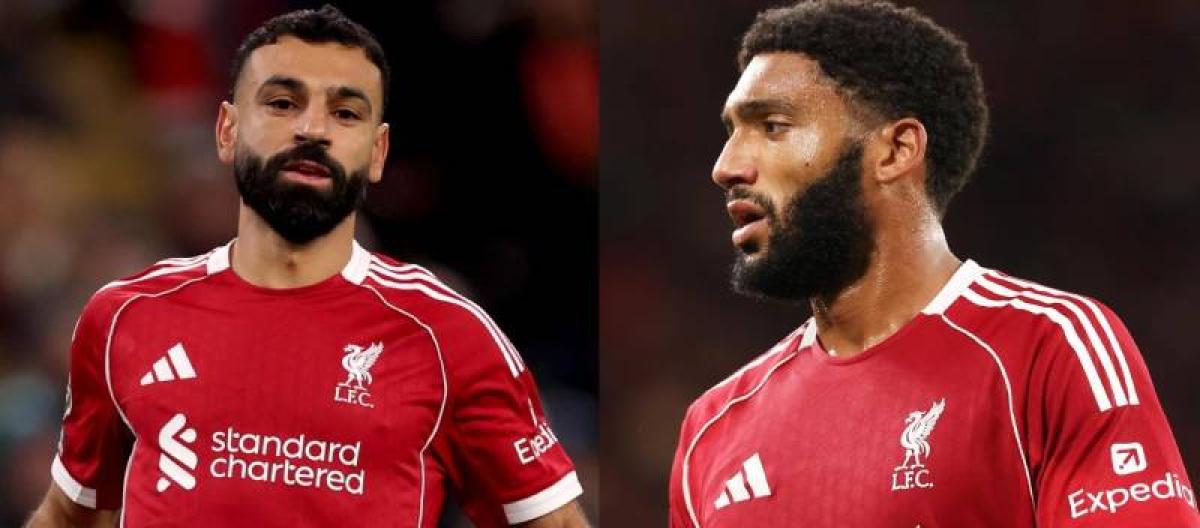 好体育 - 棋牌软件排名